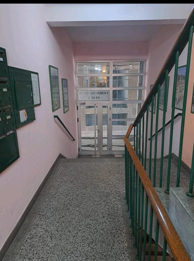 Apartman Milica 2023 Belgrad Exteriör bild